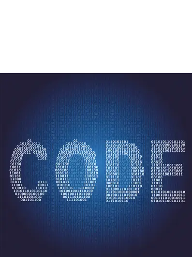 Why Custom Platforms Will Be the Smartest Investment of 2025